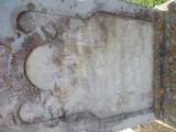 image of grave number 883348
